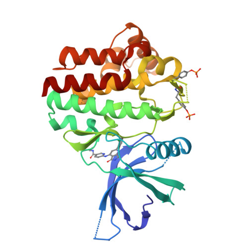その他 y_k_t Cloudbust Thunder ankle boot PRADA | Blondie Shop