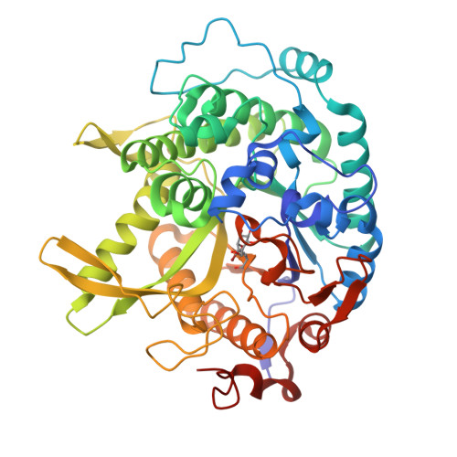 RCSB PDB - 7UZ1: Structure of beta-glycosidase from Sulfolobus