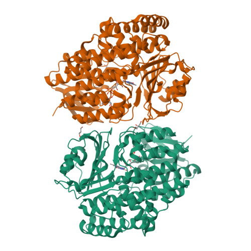 RCSB PDB - 7V0B: Crystal Structure Of Halogenase CtcP From ...