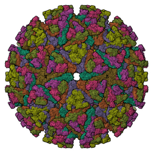 RCSB PDB - 7V4T: Cryo-EM structure of Alphavirus M1