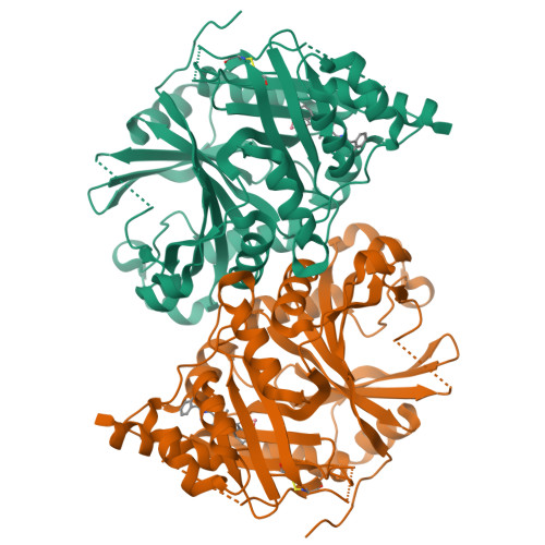 RCSB PDB - 7V6X: Crystal structure of HPPD complexed with Y18556