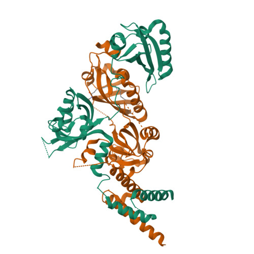 RCSB PDB - 7V7W: Crystal Structure of the Heterodimeric HIF-3a:ARNT ...