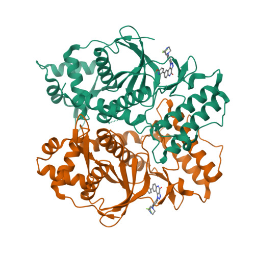 RCSB PDB - 7VBT: Crystal structure of RIOK2 in complex with CQ211