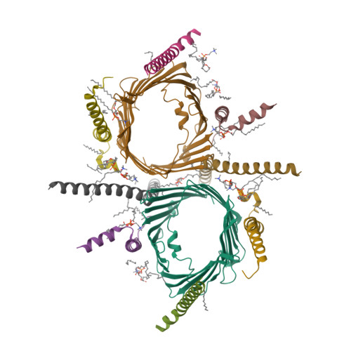 RCSB PDB - 7VBY: Tom core complex with Tom20 and Tom22 subunits.