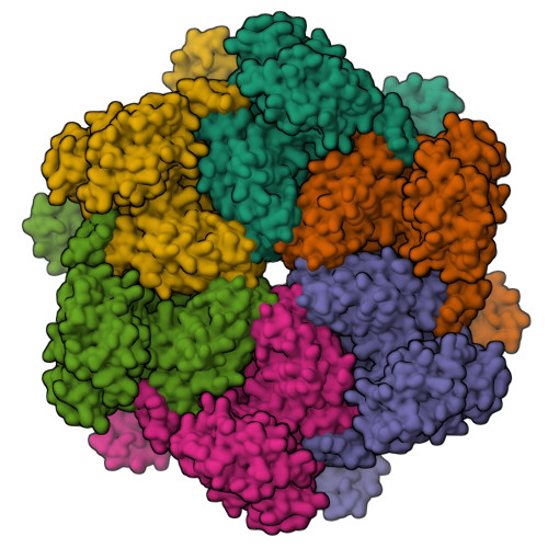 RCSB PDB - 7VCV: Human p97 single hexamer conformer I with ATPgammaS bound