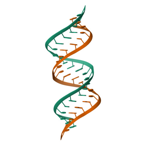 RCSB PDB - 7VFT: Crystal structure of rGGGC(CAG)5GUCC oligo