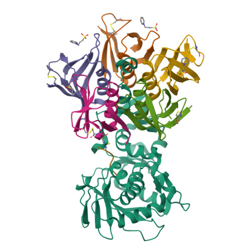 あページ RCSB PDB - 7VHD: Crystal structure of the STX2a complexed with R4A