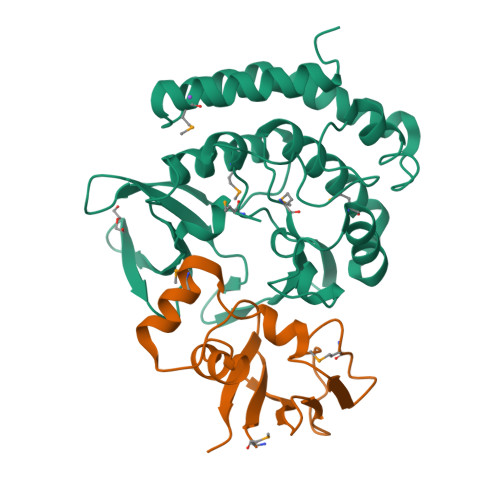 rcsb pdb - 6pt7: structure of kate1 catalase from... RCSB PDB - 7VKB: Crystal structure of the a bacterial kinase complex