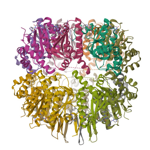 RCSB PDB - 7VP9: Crystal structure of human ClpP in complex with ZG111