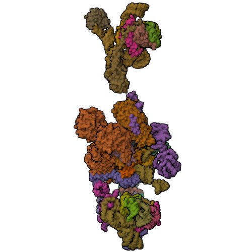 PDB 7VPX