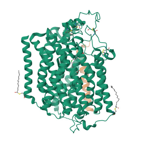 Rcsb Pdb Vsi Structure Of Human Sglt Map Complex Bound With Empagliflozin