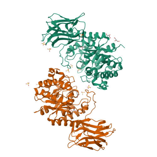 RCSB PDB - 7VT4: Crystal structure of mutant E393Q of MtGlu5