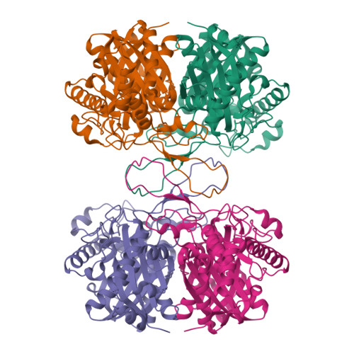 rcsb pdb - 6pt7: structure of kate1 catalase from... RCSB PDB - 7VTR: 3-ketoacyl-CoA thiolase Tfu_0875