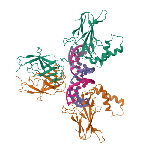 RCSB PDB - 7VUQ: Structure of NF-kB p52 homodimer bound to A/T-centric ...