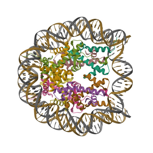 RCSB PDB - 7VZ4: Cryo-EM structure of human nucleosome core particle ...