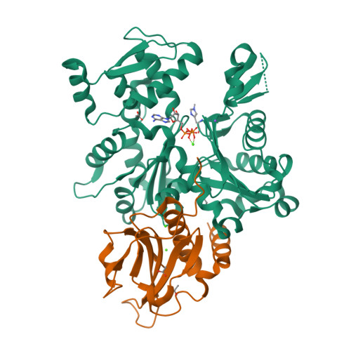 RCSB PDB - 7W52: Crystal structure of fragmin domain-1 (15-160) in ...