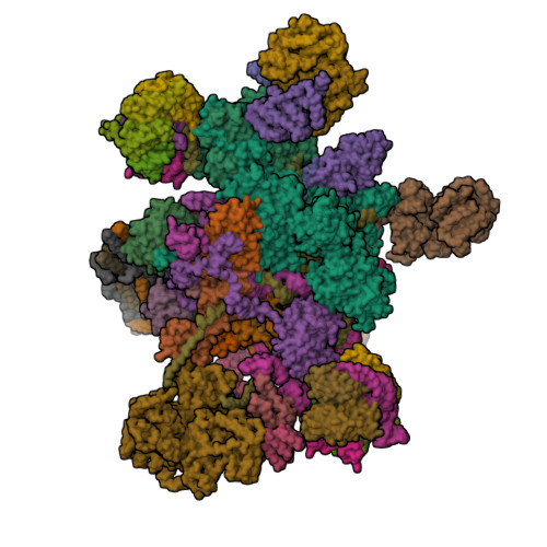 PDB 7W59
