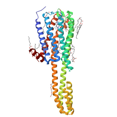 Serotonin Receptor Structure