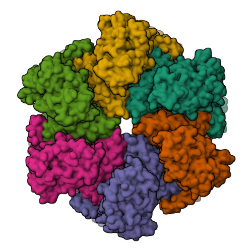 RCSB PDB - 7WD3: Cryo-EM structure of Drg1 hexamer treated with ATP and ...