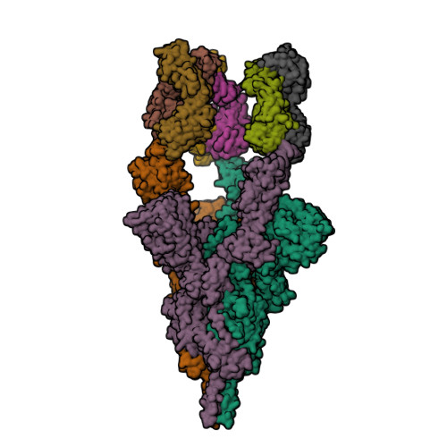 RCSB PDB - 7WD7: SARS-CoV-2 Beta spike in complex with three S5D2 Fabs