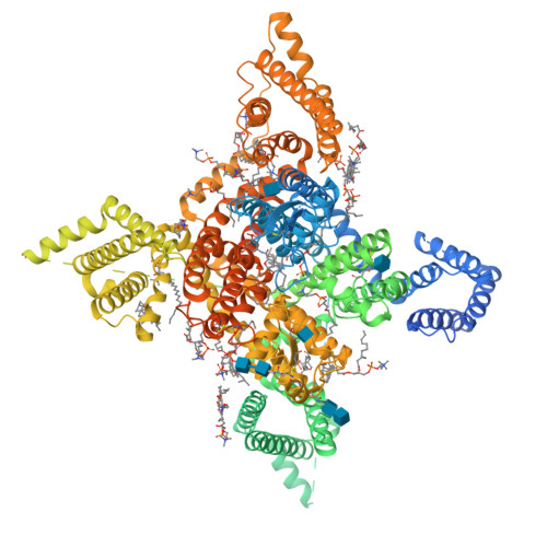 RCSB PDB - 7WFR: Human Nav1.8 with A-803467, class III