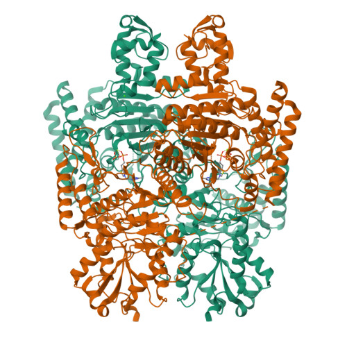 RCSB PDB 7WGR Cryoelectron microscopic structure of the 2