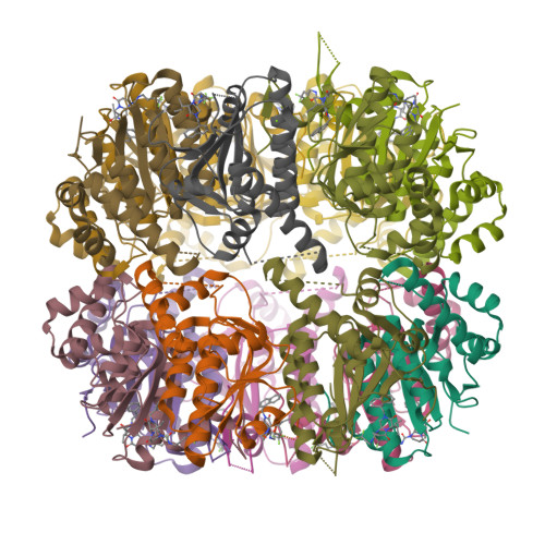 RCSB PDB - 7WH5: Crystal structure of human ClpP in complex with ZG180