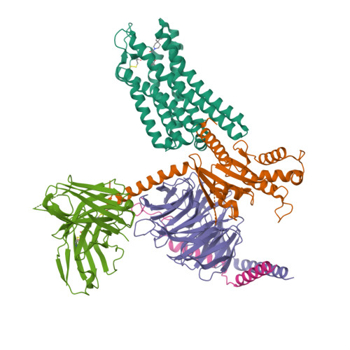 RCSB PDB - 7WIG: Cryo-EM structure of the L-054,264-bound