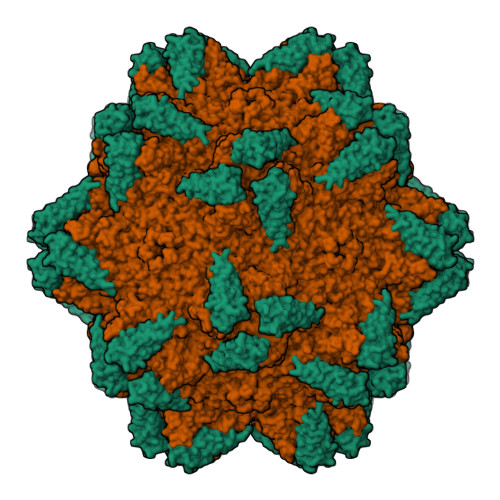 RCSB PDB - 7WJX: Adeno-associated virus serotype 9 in complex with AAVR