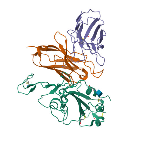 Rcsb Pdb 7wm0 Cryo Em Structure Of The Omicron Rbd In Complex With 35b5 Fab Local Refinement