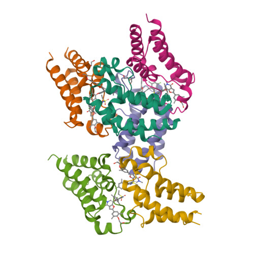 RCSB PDB - 7WNA: Crystal Structure of the second bromodomain of