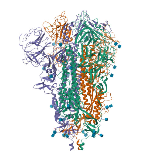 RCSB PDB - 7WP9: SARS-CoV-2 Omicron Variant SPIKE Trimer, All RBDs Down