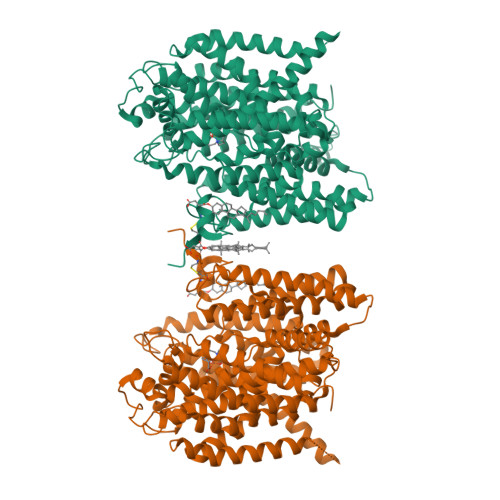 RCSB PDB - 7WST: Cryo-EM structure of the barley Yellow stripe 1