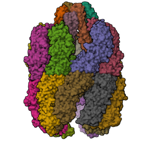 Rcsb Pdb 7wu7 Prefoldin Tubulin Tric Complex