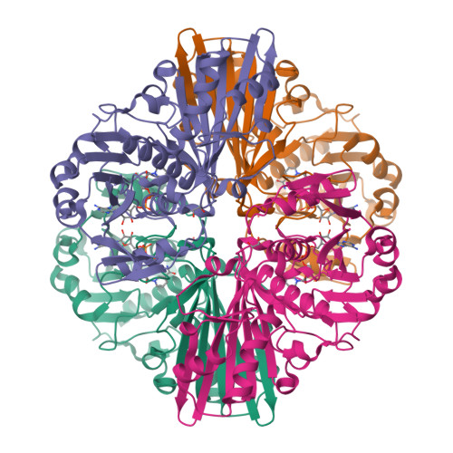 アニメ HzEdge zeghed Label S-hybrid crystalP RCSB PDB - 7WWW: Crystal Structure of Moonlighting GAPDH