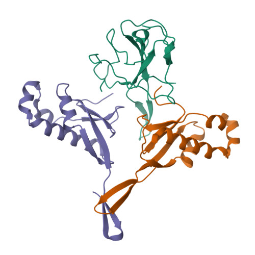 Rcsb Pdb Wzo Crystal Structure Of The Sars Cov Nucleocapsid Protein N Terminal Domain In