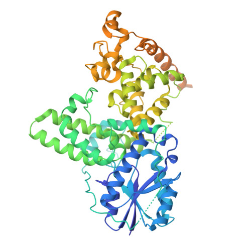 RCSB PDB - 7X0X: Cryo-EM Structure of Arabidopsis CRY2 in active ...