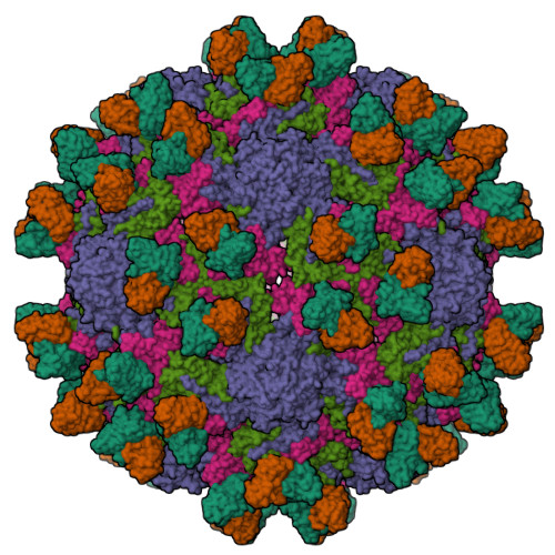 RCSB PDB - 7X3F: Cryo-EM structure of Coxsackievirus B1 A-particle in ...