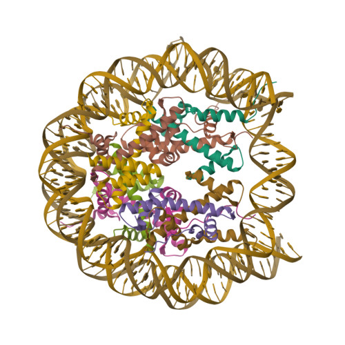 RCSB PDB - 7X3X: Cryo-EM structure of N1 nucleosome-RA