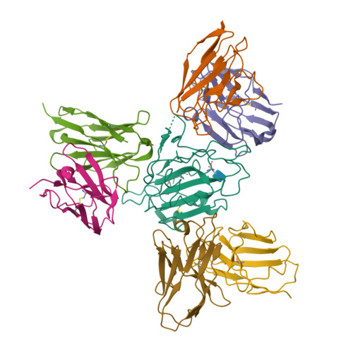 RCSB PDB - 7X7T: Cryo-EM structure of SARS-CoV-2 spike protein in ...