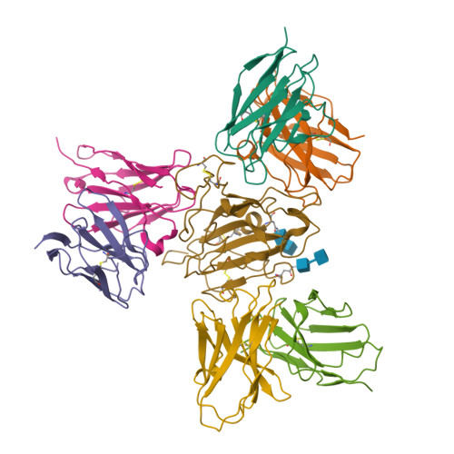 RCSB PDB - 7X7V: Cryo-EM structure of SARS-CoV spike protein in complex ...