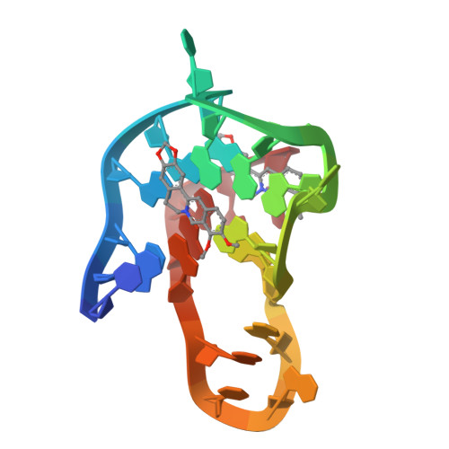 Rcsb Pdb 7x8m Nmr Solution Structure Of The 21 Berberine Kras G4 Complex 0964