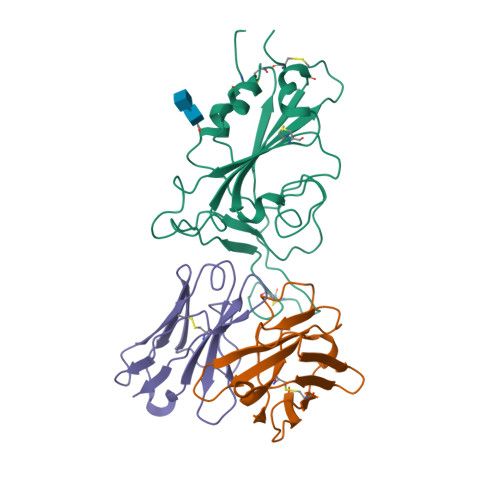 RCSB PDB - 7X95: The SARS-CoV-2 receptor binding domain bound with