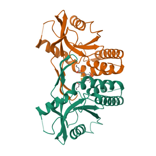 RCSB PDB 7X9Q Crystal structure of human STING complexed with