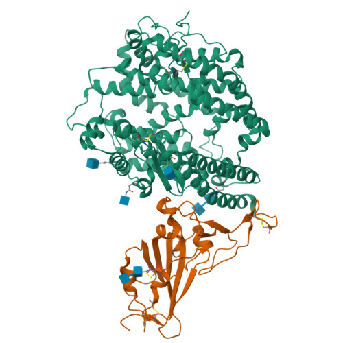RCSB PDB - 7XBG: The crystal structure of RshSTT182/200 RBD