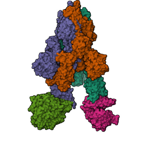 RCSB PDB - 7XCH: Cryo-EM structure of SARS-CoV-2 Omicron spike