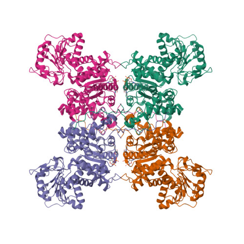 Rcsb Pdb Xde Cryo Em Structures Of Human Mitochondrial Nad P