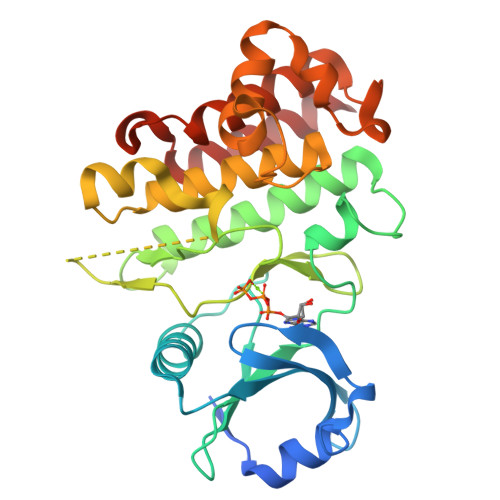 RCSB PDB - 7XDV: Crystal Structure Of A Receptor Like Kinase From ...