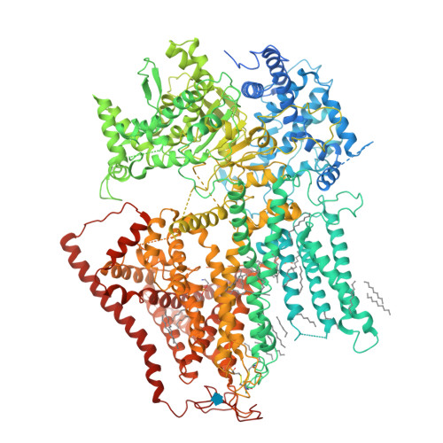 RCSB PDB - 7XE4: structure of a membrane-bound