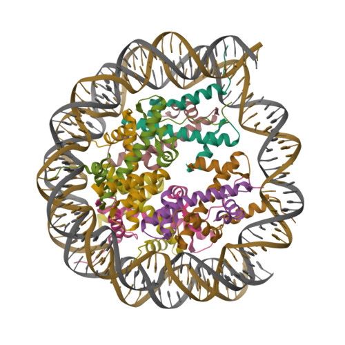 RCSB PDB - 7XFI: Structure of nucleosome-DI complex (-50I, Apo state)